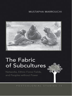 cover image of The Fabric of Subcultures